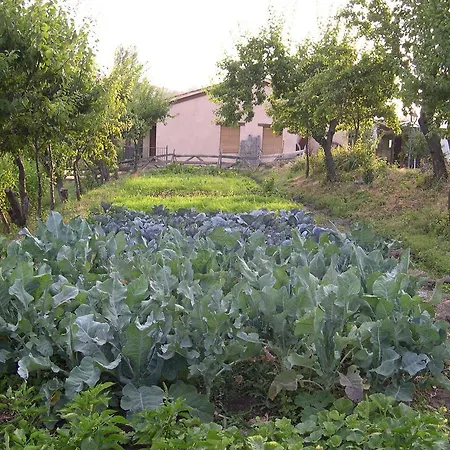 בית הארחה La Huerta De San Lorenzo *