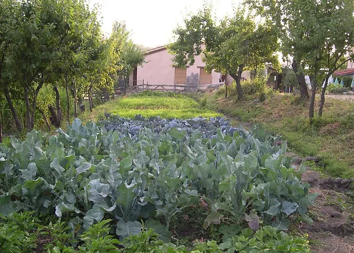 בית הארחה La Huerta De San Lorenzo *